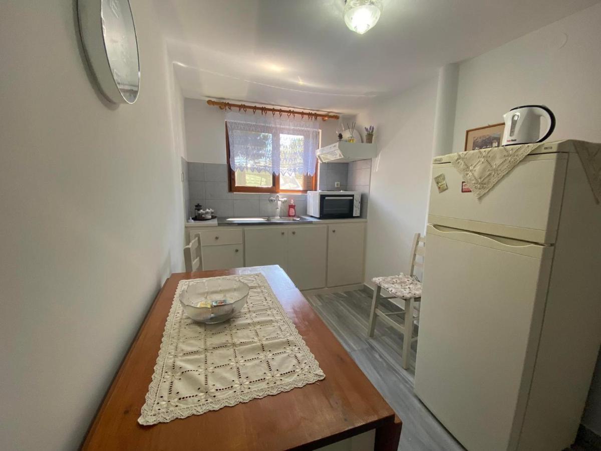 Stelios Zalonis Apartments Tínos 외부 사진